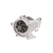 Engine Water Pump Dayco DP1075