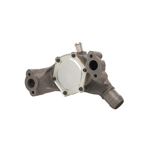 Engine Water Pump Dayco DP1115