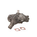 Engine Water Pump Dayco DP1115