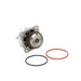 Engine Water Pump Dayco DP1118