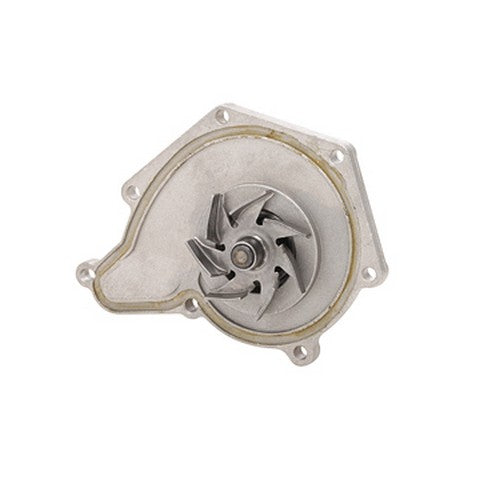 Engine Water Pump Dayco DP1252