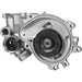 Engine Water Pump Dayco DP1304