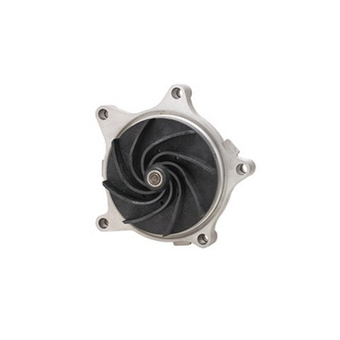 Engine Water Pump Dayco DP1309