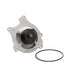 Engine Water Pump Dayco DP1310