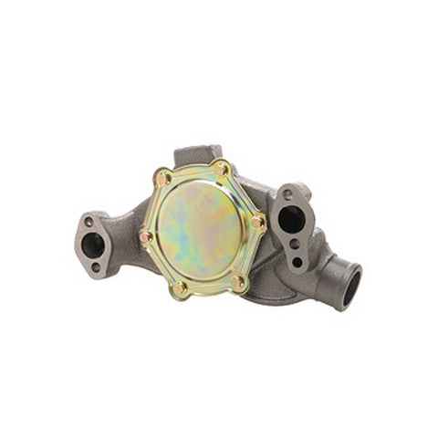 Engine Water Pump Dayco DP1313