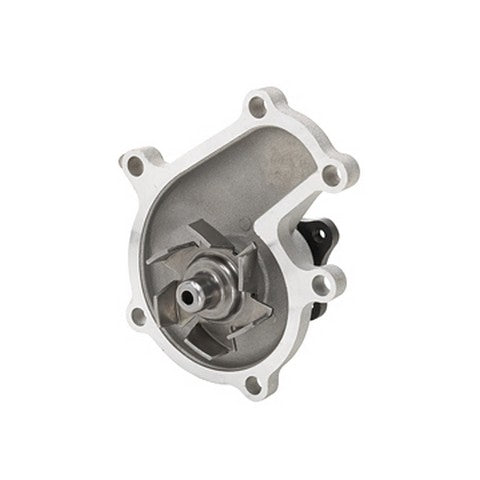 Engine Water Pump Dayco DP1318