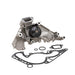 Engine Water Pump Dayco DP1319