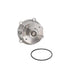 Engine Water Pump Dayco DP1320