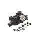 Engine Water Pump Dayco DP1331