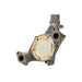 Engine Water Pump Dayco DP1334