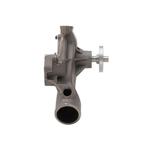 Engine Water Pump Dayco DP1342