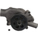 Engine Water Pump Dayco DP1359