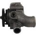 Engine Water Pump Dayco DP1359