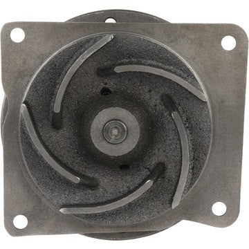 Engine Water Pump Dayco DP1360