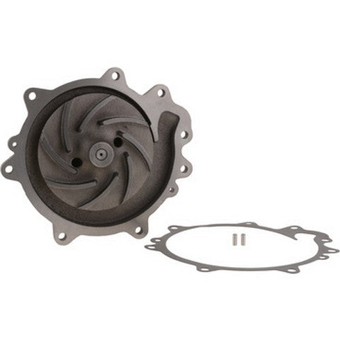 Engine Water Pump Dayco DP1381