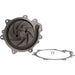 Engine Water Pump Dayco DP1381