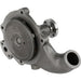 Engine Water Pump Dayco DP1385
