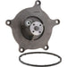 Engine Water Pump Dayco DP1390