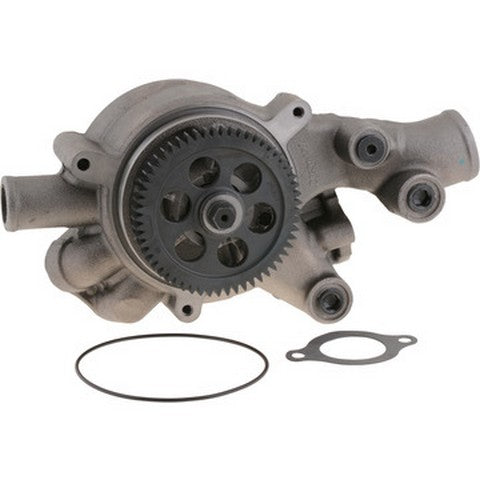 Engine Water Pump Dayco DP1427