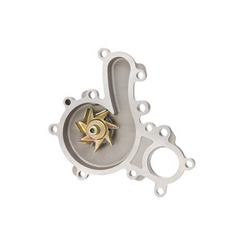 Engine Water Pump Dayco DP1437