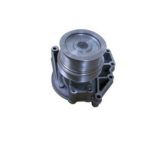 Engine Water Pump Dayco DP1446