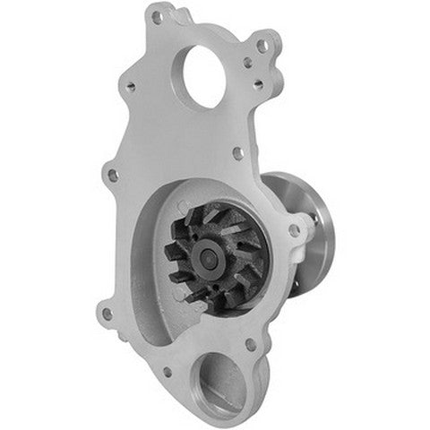 Engine Water Pump Dayco DP1460