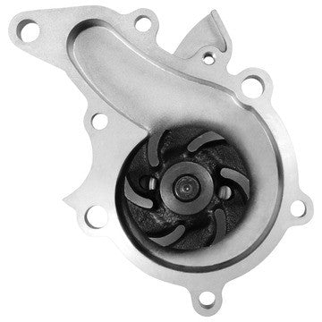 Engine Water Pump Dayco DP1461