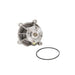 Engine Water Pump Dayco DP1465