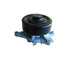 Engine Water Pump Dayco DP1504