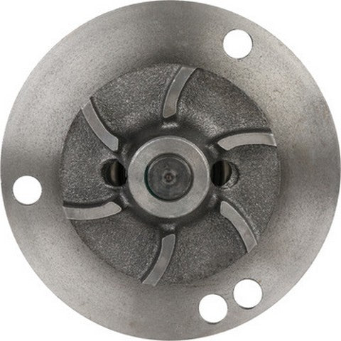 Engine Water Pump Dayco DP1628