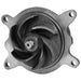Engine Water Pump Dayco DP1664