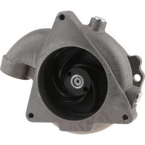 Engine Water Pump Dayco DP1681