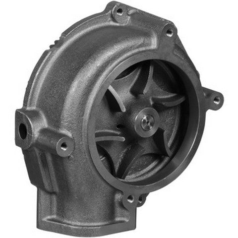 Engine Water Pump Dayco DP1682