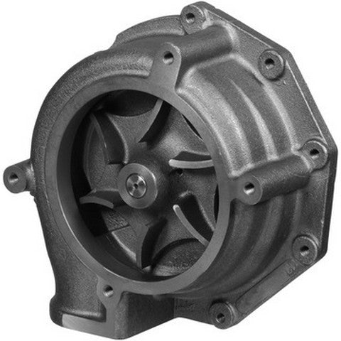 Engine Water Pump Dayco DP1682