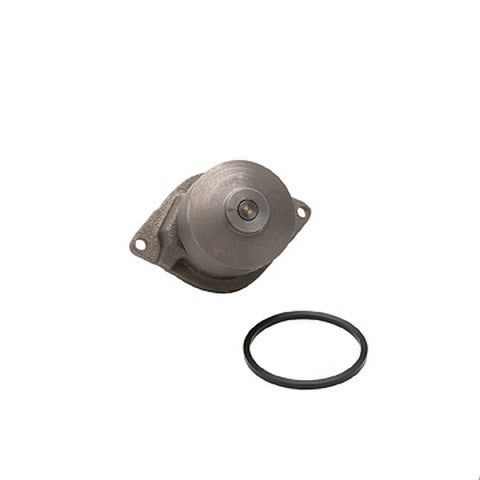 Engine Water Pump Dayco DP172