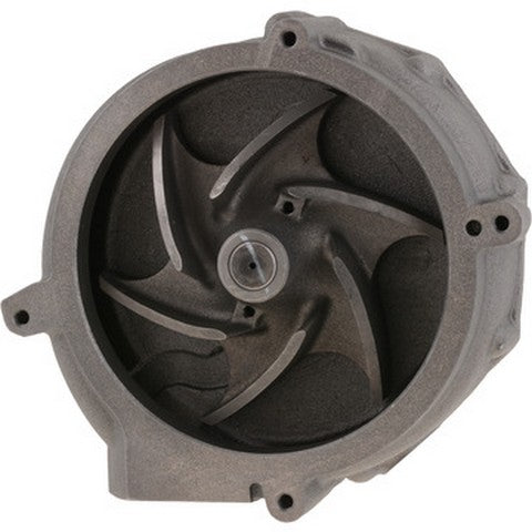 Engine Water Pump Dayco DP1759