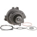 Engine Water Pump Dayco DP1761