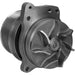 Engine Water Pump Dayco DP1766