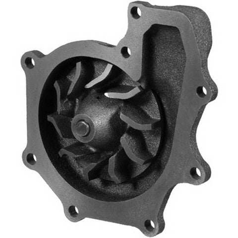 Engine Water Pump Dayco DP1767
