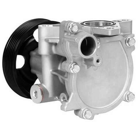 Engine Water Pump Dayco DP1828