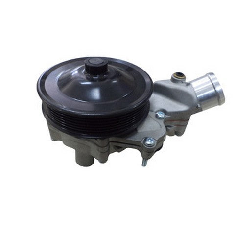 Engine Water Pump Dayco DP1871
