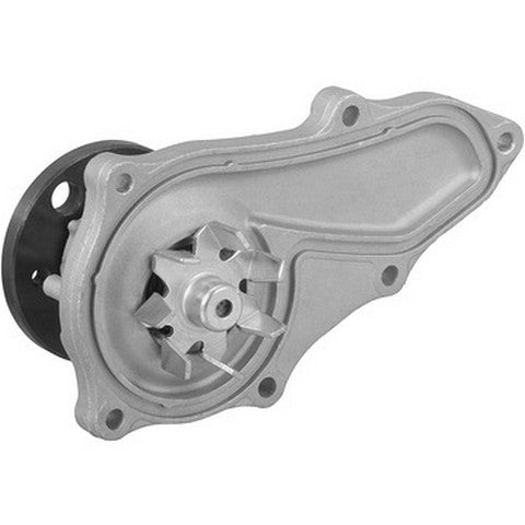 Engine Water Pump Dayco DP1881