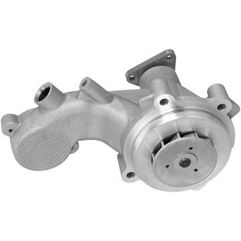 Engine Water Pump Dayco DP1900
