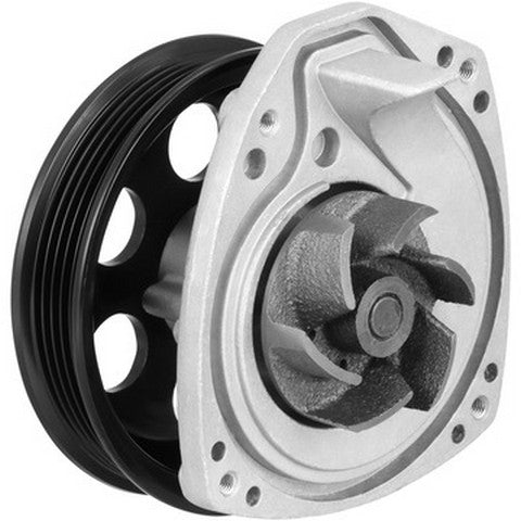 Engine Water Pump Dayco DP1912