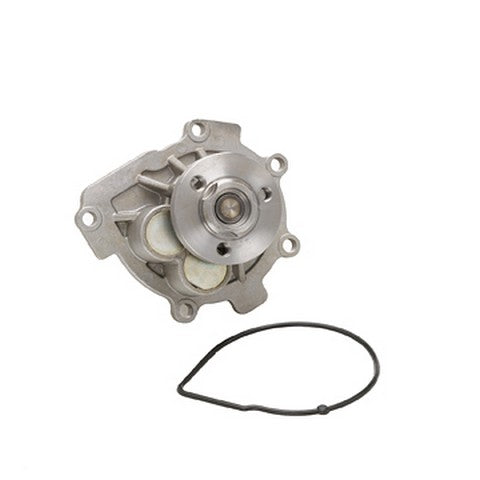 Engine Water Pump Dayco DP191