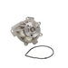 Engine Water Pump Dayco DP191