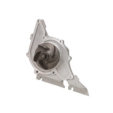 Engine Water Pump Dayco DP194