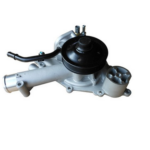 Engine Water Pump Dayco DP2165
