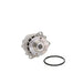 Engine Water Pump Dayco DP269