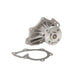 Engine Water Pump Dayco DP3001